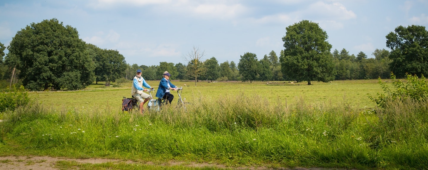 Gemeente Oldebroek