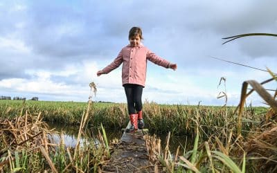 Wandelroute het Klompenpad in Lopik: een avontuur voor Kids door de polder