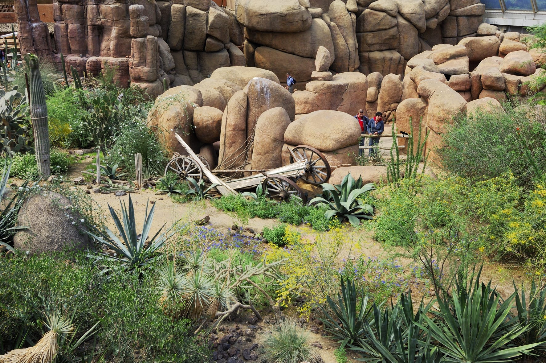 Desert Burgers Zoo