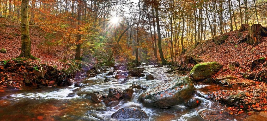 Duitsland De Harz Per Trein