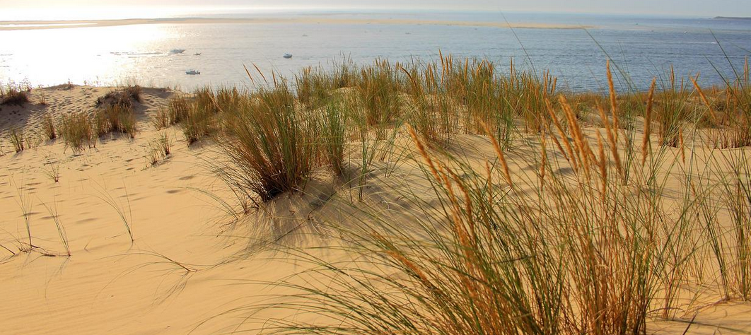 Dune Pyla Gironde