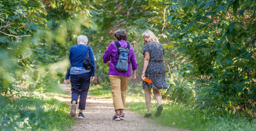 Wandelen Echt Susteren Trein