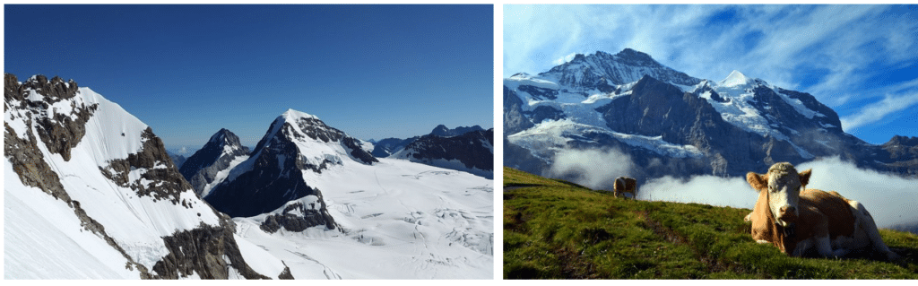 Grindelwald Per Trein