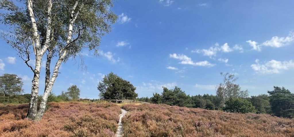 Natuur Leusden
