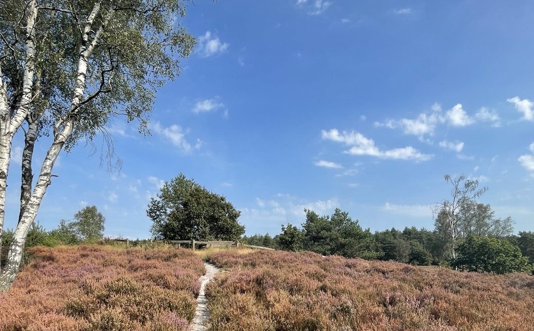 Leusden per OV: natuur, winkelen, cultuur en meer