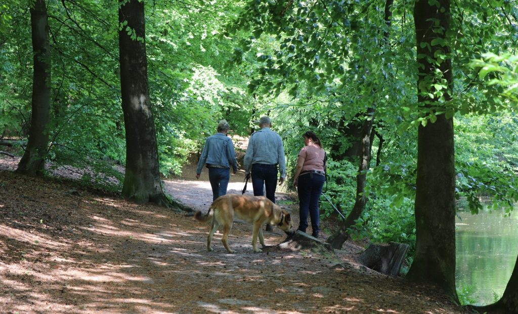 Wandelen Leusden
