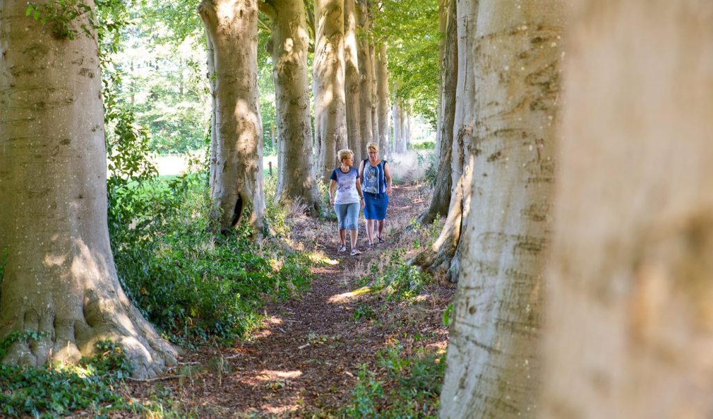 Klompenpad wandelroute
