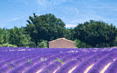 5 Mooie plekken in de Franse Provence met de trein