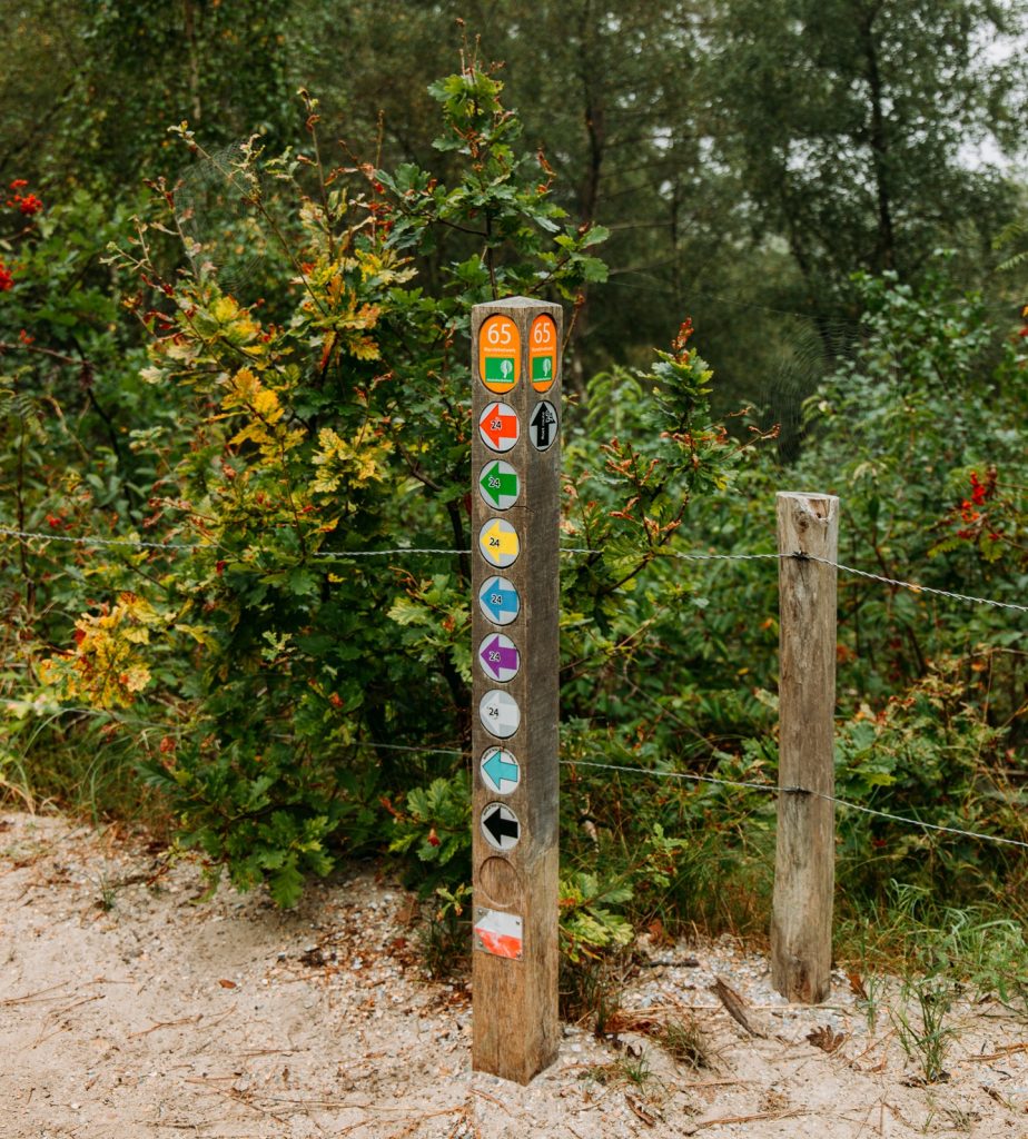 Schoorlse Duinen
