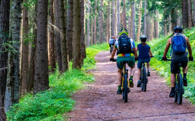 MTB-routes: 10 leuke mountainbike trails in Duitsland