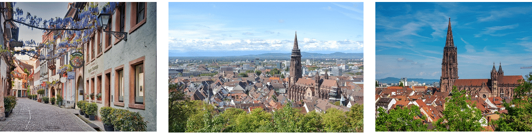 Trein naar Freiburg