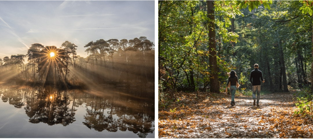 Welkom in Oisterwijk: kerstmarkten, wandelen, fietsen en overnachten