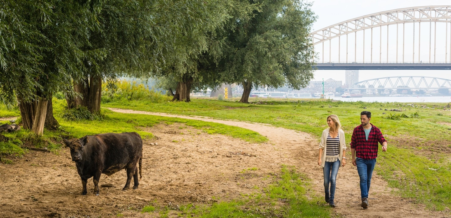 Bezoek Nijmegen per trein