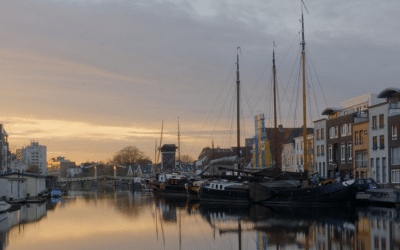 Natuurlijke verrassingen: Wilde dieren in Leiden spotten