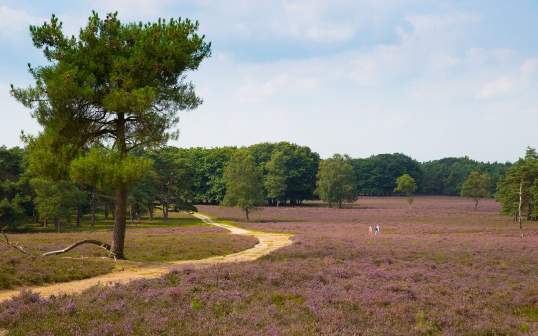 Ontdek Oldebroek in de herfst en winter
