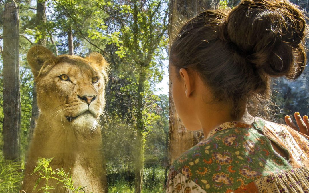 Dagje Dierenpark Amersfoort met de trein