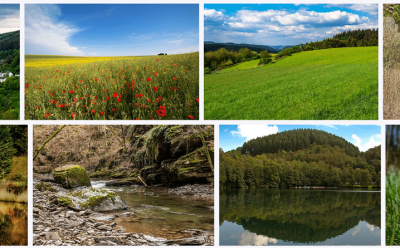 5 mooiste plekken in de Eifel