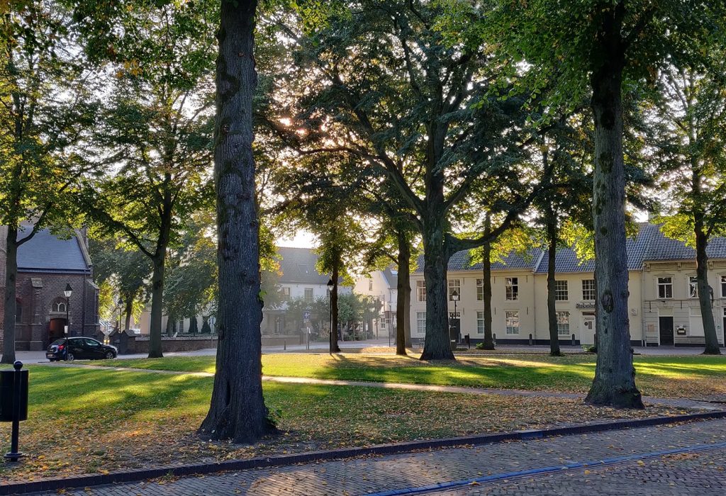 najaar_Vrijthof