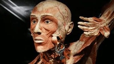 Trein naar Body Worlds met korting