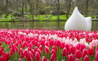 Trein naar Keukenhof