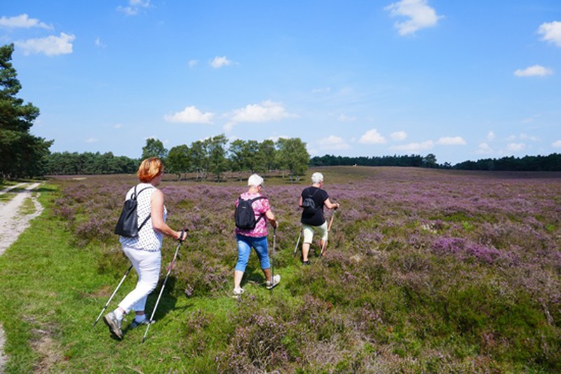 wiseperpad wandelroute